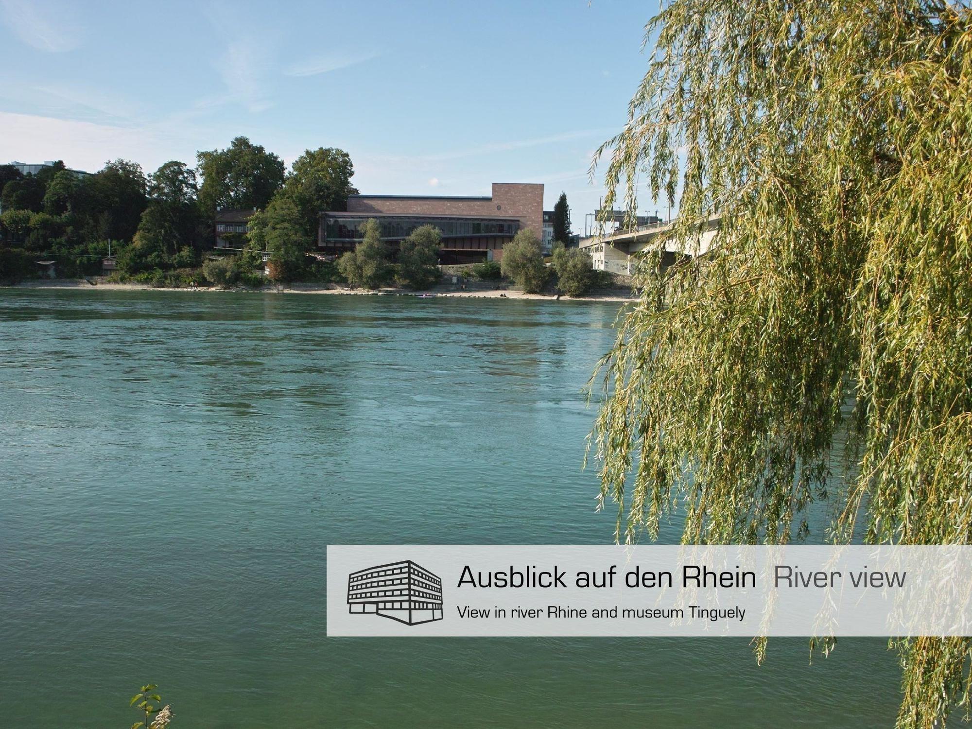 Dasbreitehotel Am Rhein Basel Ngoại thất bức ảnh