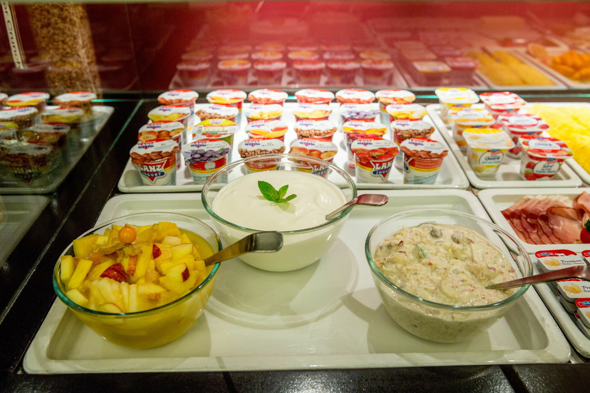 Dasbreitehotel Am Rhein Basel Ngoại thất bức ảnh